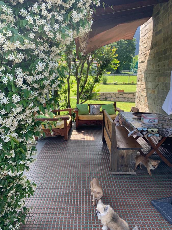 B&B Il Tempo Del Sogno Con Cani E Gatti Pet&Breakfast Бавено Екстер'єр фото